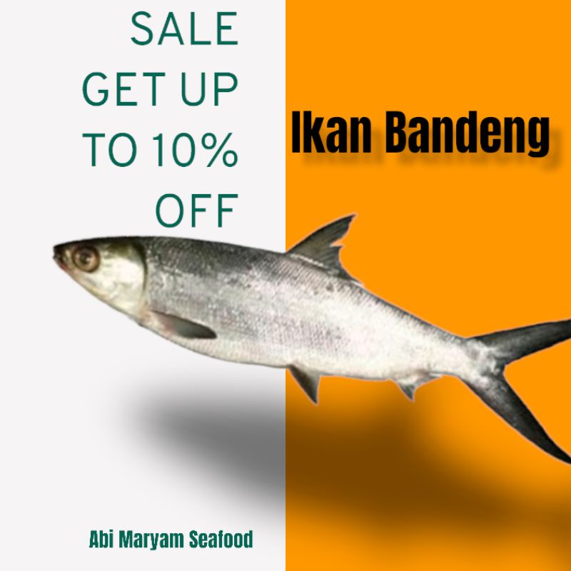 

Ikan Bandeng Fresh Berkualitas dan Bergaransi 1 kg isi 1 s/d 3