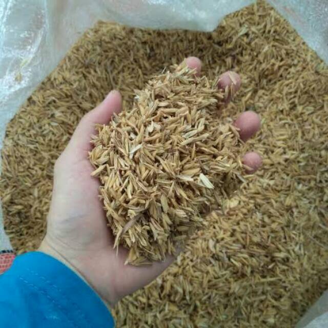 Sekam padi sekam mentah 1 kg