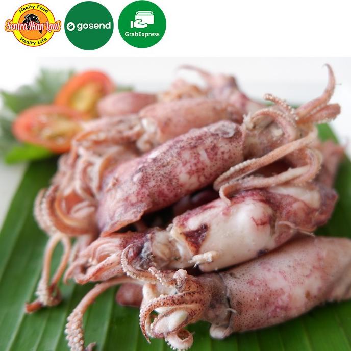 

(BISA COD) Cumi Asin Basah / Cumi Asin Super / Cumi Asin Telur 500 Gram PROMO SPECIAL Kode 1034