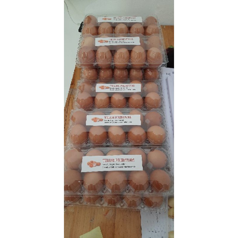 

Telur Premium