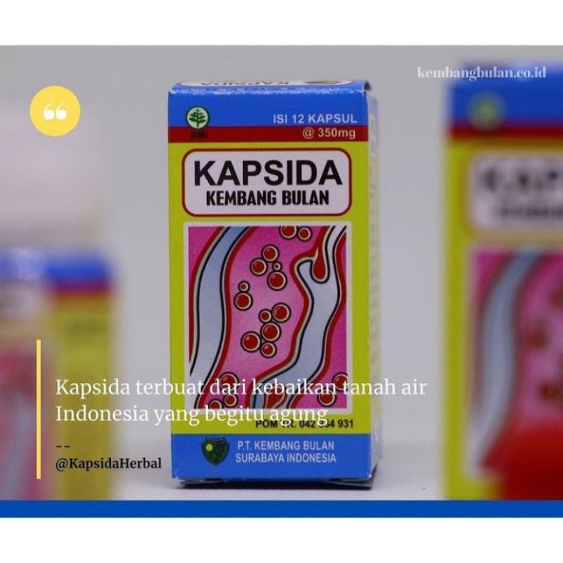 KAPSIDA