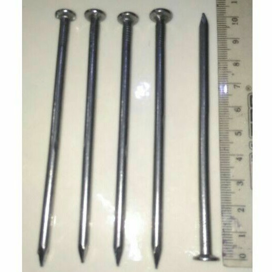 PAKU USUK KAYU 10 CM / 250 GRAM