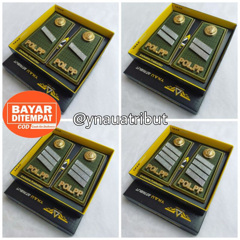 

Pangkat SATPOL PP/POL PP Golongan 2A/2B/2C/2D