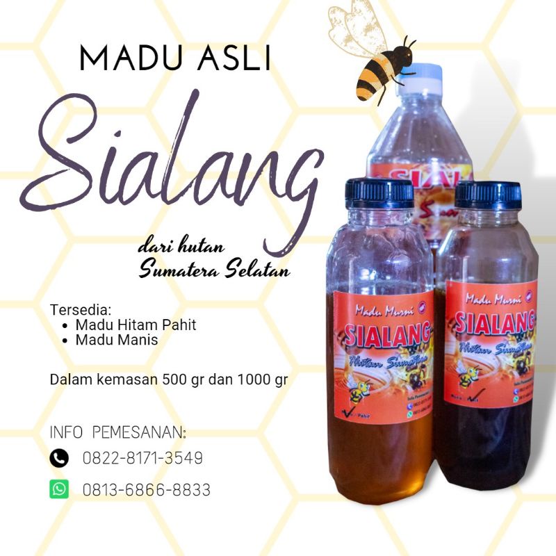 

Madu Hutan Sumatera Sialang Manis