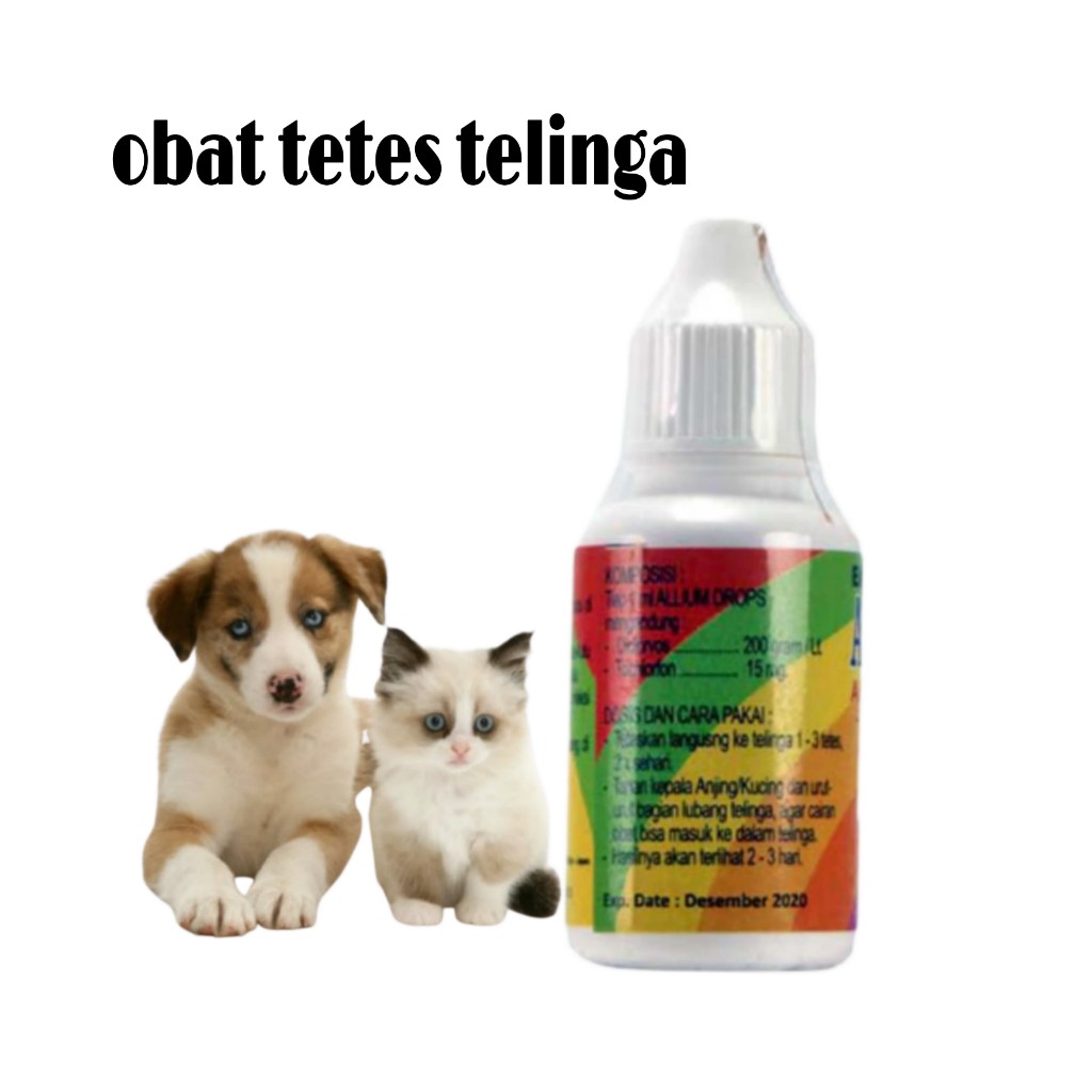 Obat Kucing Tetes Telinga Kuping Kucing Anjing Infeksi Bernanah Kutu Allium Drops - Kemasan 30ML