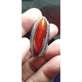 PANDAN MERAH RUDAL KODE RD5