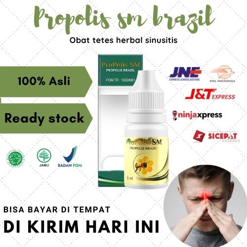 Obat sinusitis alami - Propolis sm brazil - Halal BPOM