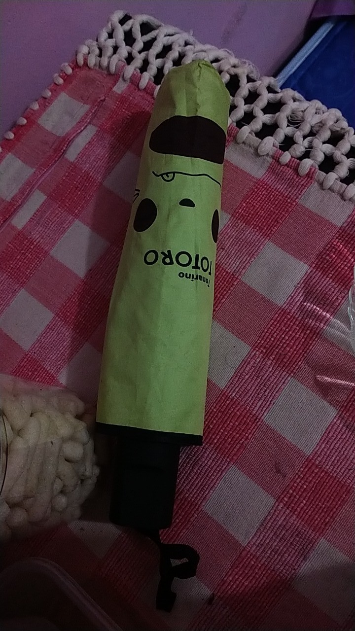 Nagoya Payung Lipat 4 Totoro Face