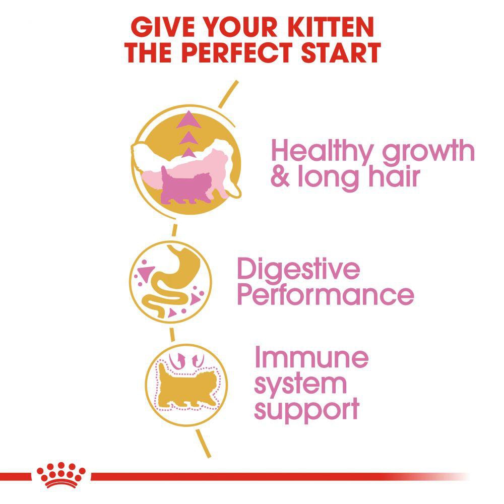 ROYAL CANIN Kitten Persian 4KG MAKANAN KERING ANAK KUCING