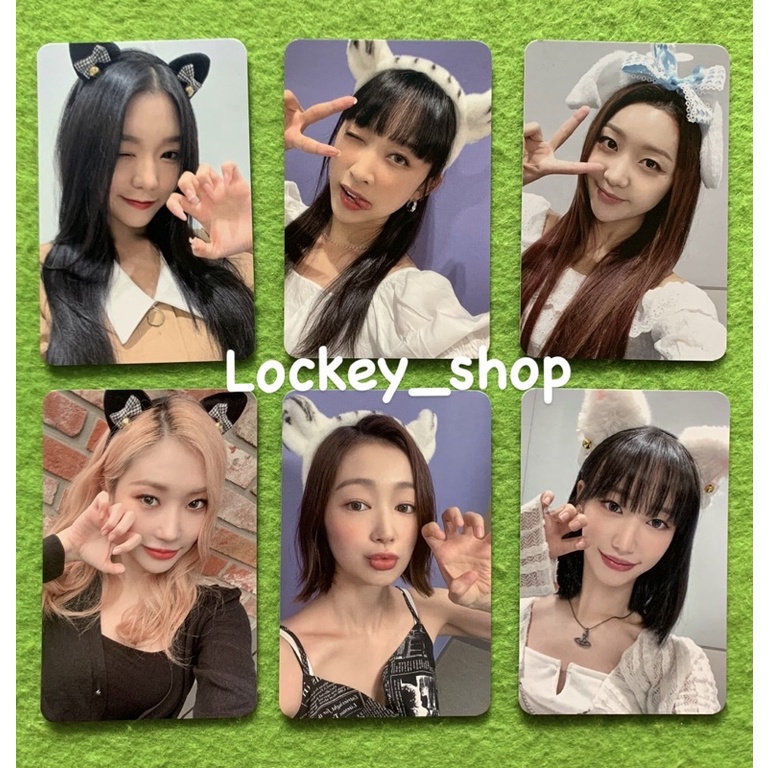 Photocard Exclusive Benefit Makestar R6 Animal Secret Number Doomchita