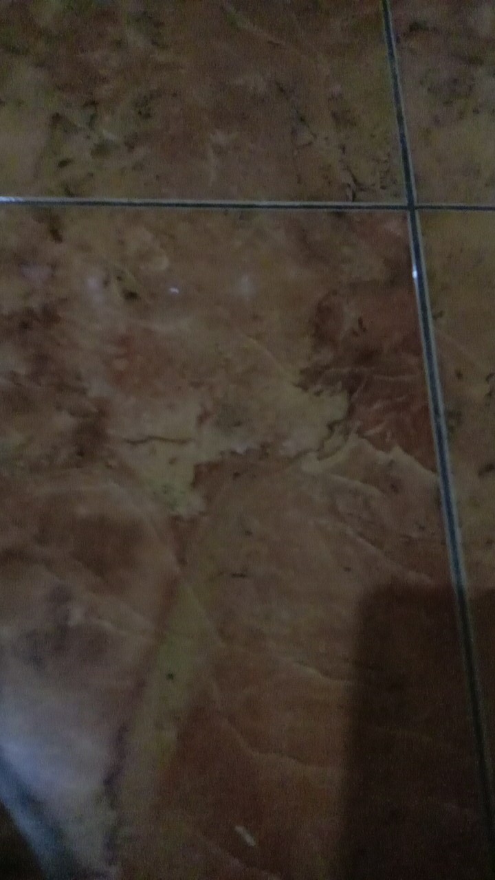 Auter Alika//auter Batik//batik Premium//batik Pekalongan