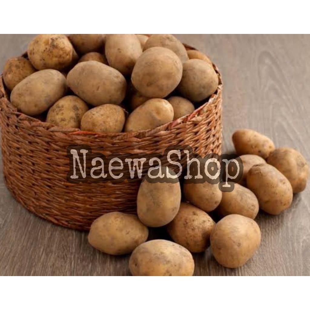 

KENTANG / POTATO SEGAR 500 gram UKURAN BESAR