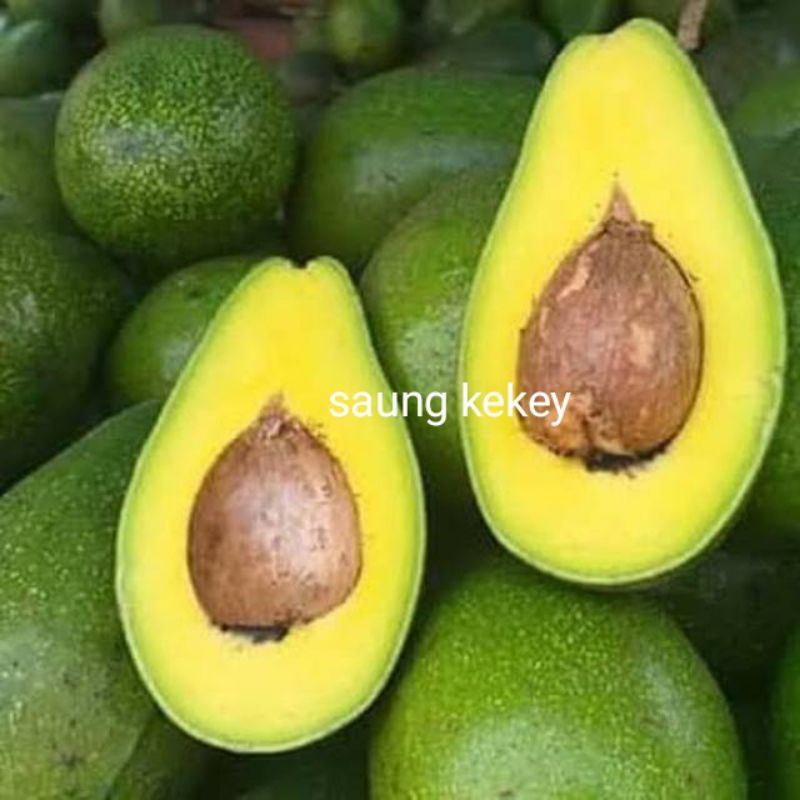 

BUAH ALPUKAT 500 gram