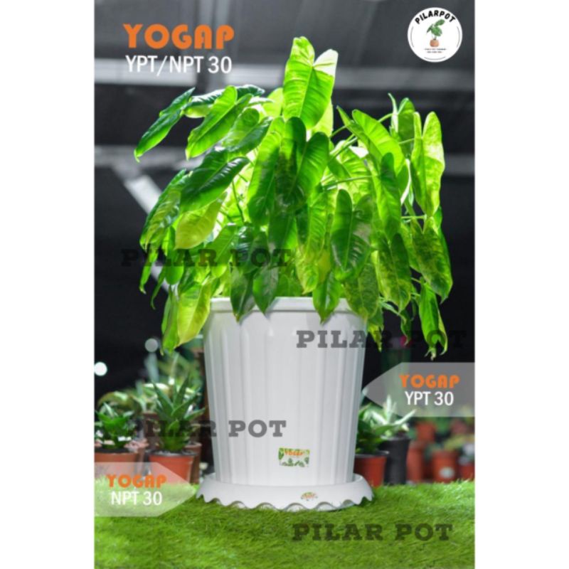 pot bunga tanaman tinggi yogap YPT 30 bahan tebal + tatakan npt 30