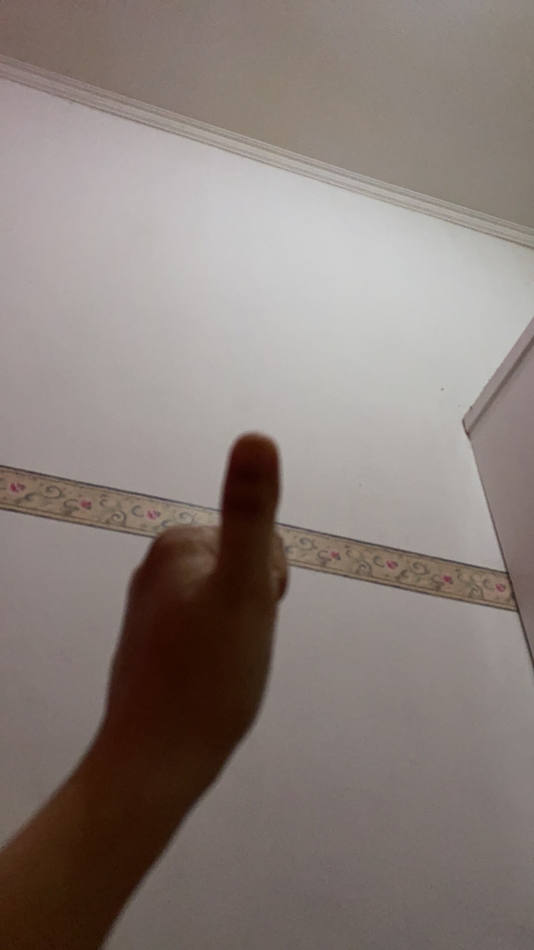 Box 3 Toples 500gram  Lebaran Idul Fitri