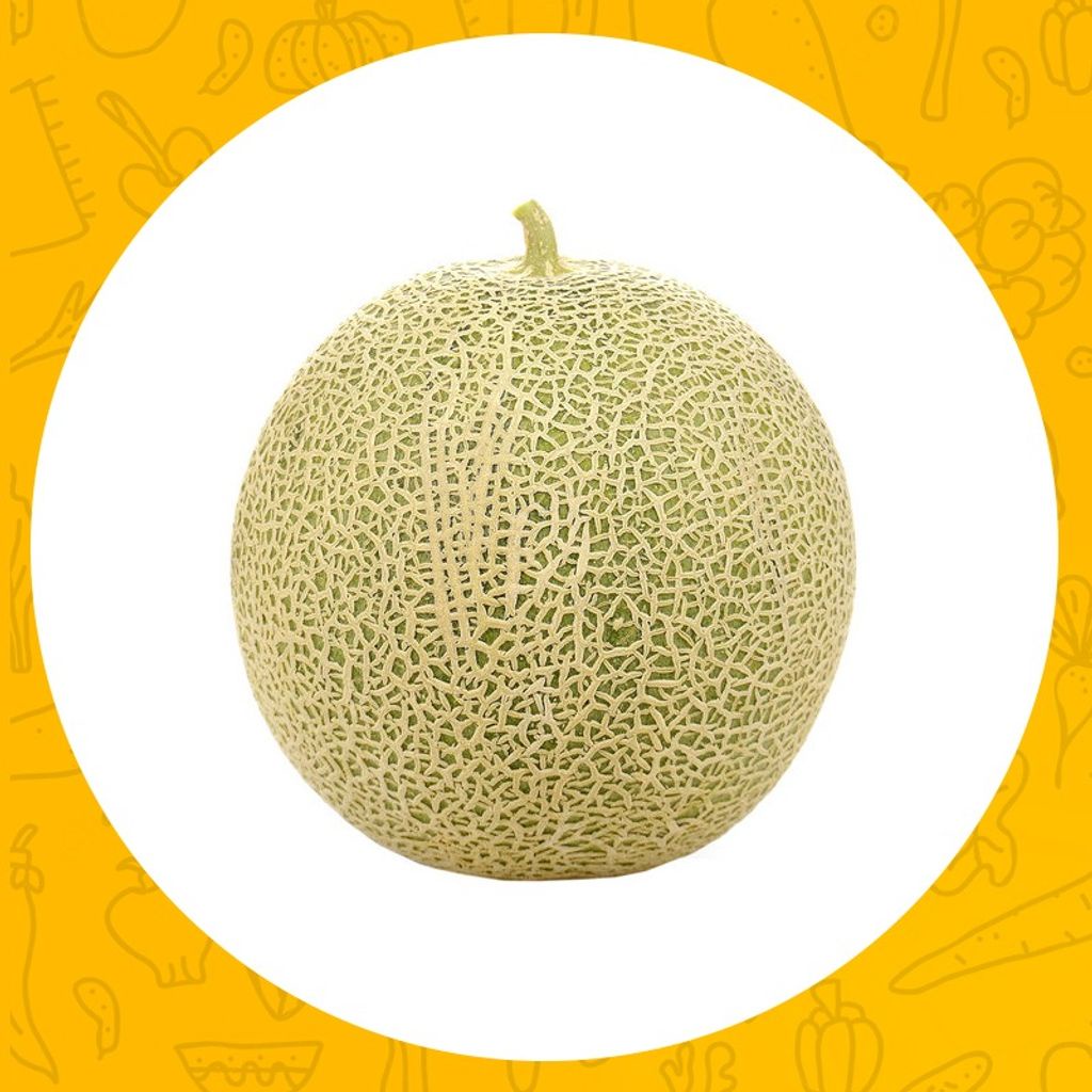 

MELON (2 - 2.5 kg)