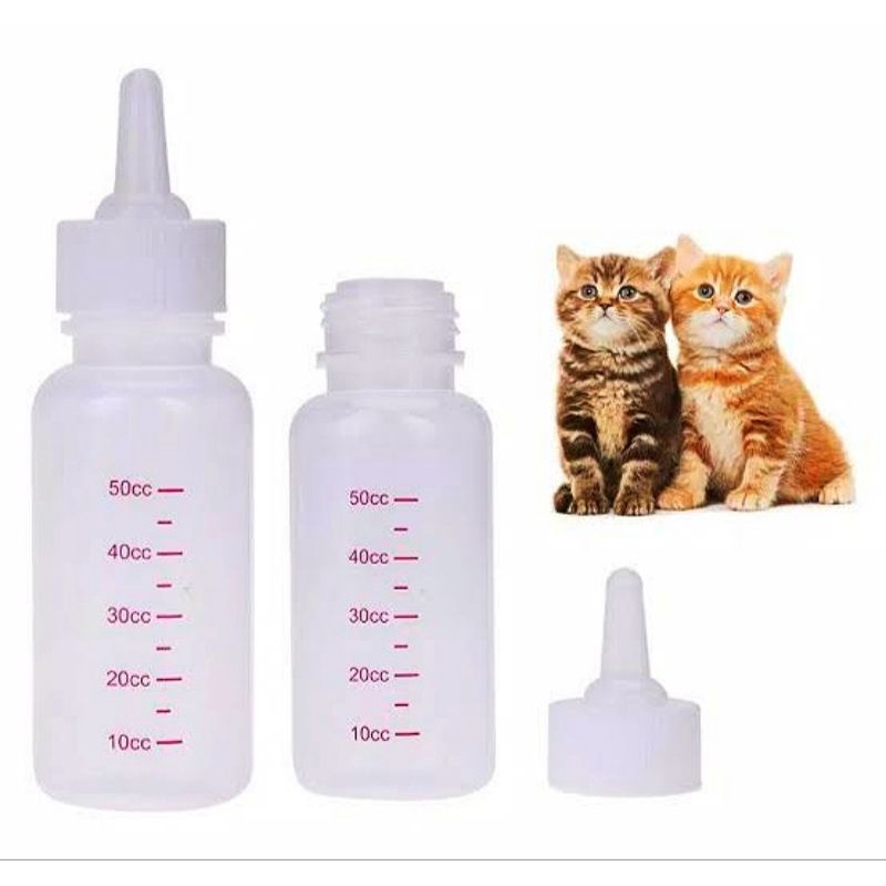 Dot anak Kucing