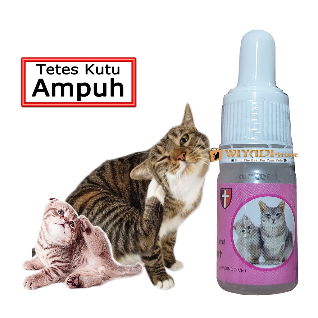 Proline Cat Obat Tetes Kutu Ampuh Kucing Kitten