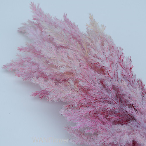 WANFLOWER Bunga Pampas 95 * PINK (perTangkai)