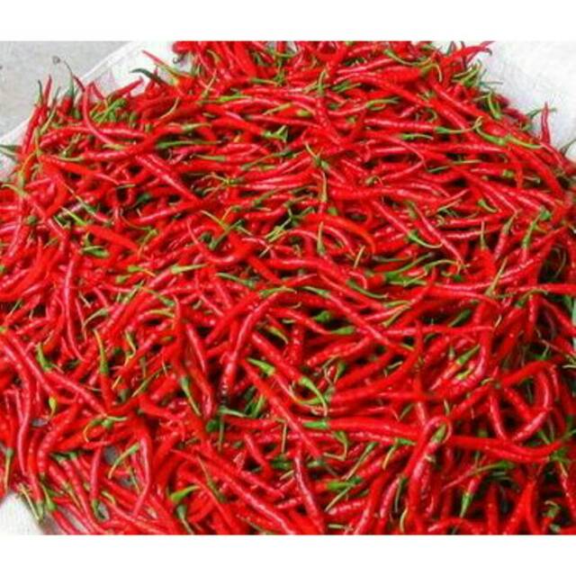 

Cabai keriting merah segar 500gram