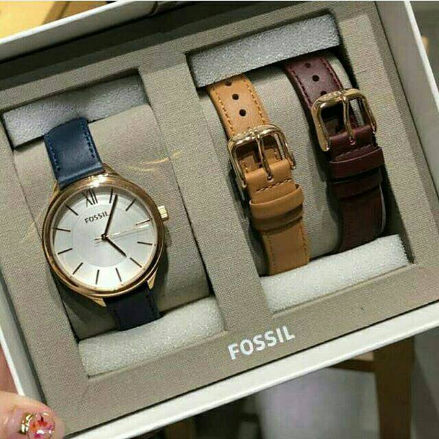 NWT Fossil set