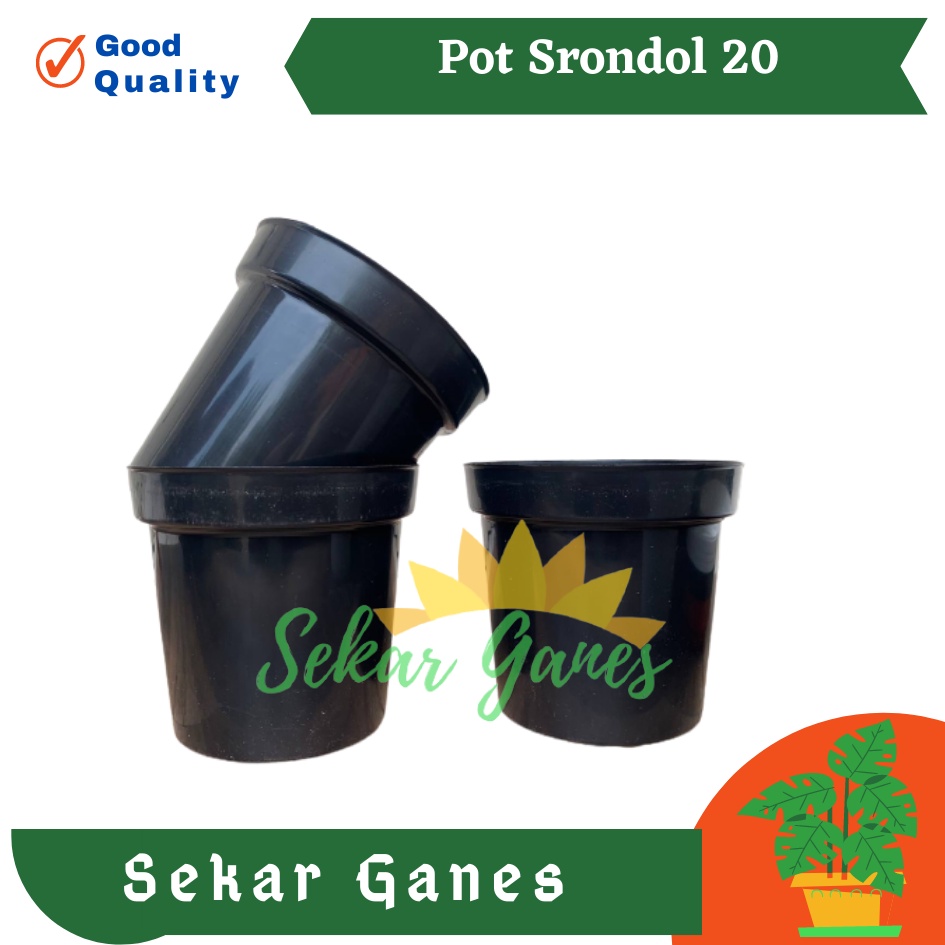 Pot Tinggi Srondol 20 Hitam - Pot Tinggi Usa Eiffel Effiel 18 20 25 Lusinan Pot Tinggi Tirus 15 18 20 30 35 40 50 Cm Paket murah isi 1 lusin pot bunga plastik lusinan pot tanaman Pot Bibit Besar Mini Kecil Pot Srondol 15