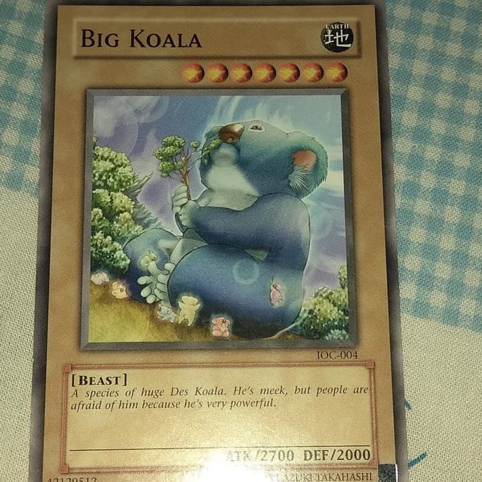 

Big Koala