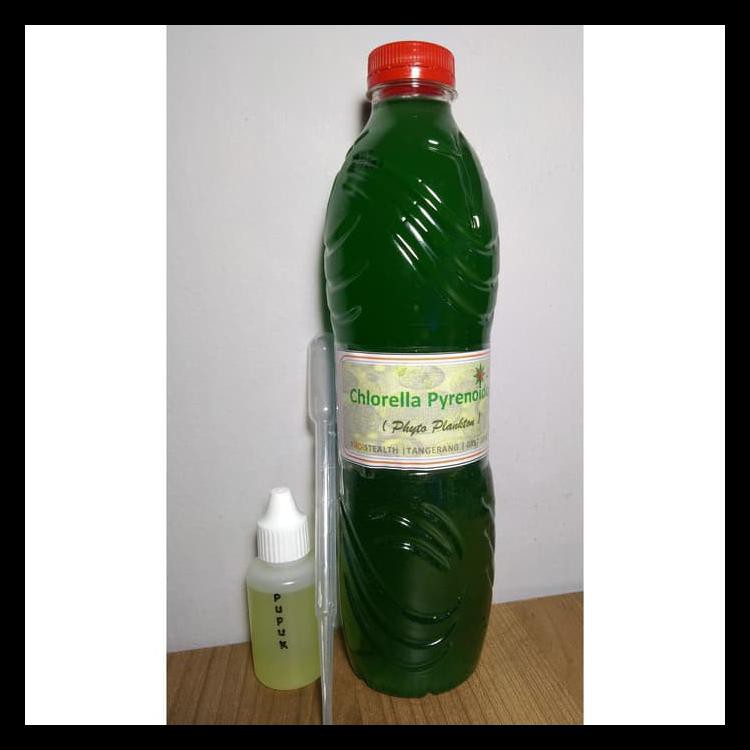 Chlorella Pyrenoidosa Tawar Bibit Kultur Alga Phytoplankton Lab Kode 614
