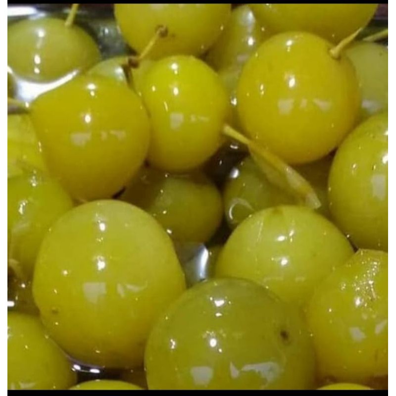 

Manisan Basah Anggur Bogor 500gr