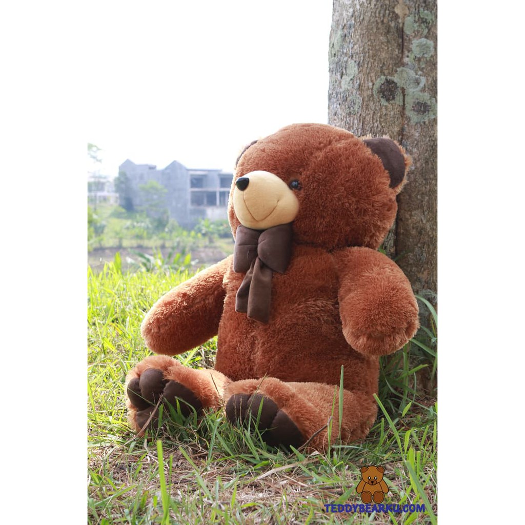 Boneka Teddy Bear Jumbo 1 Meter Warna Coklat Model Teddy Bear Import