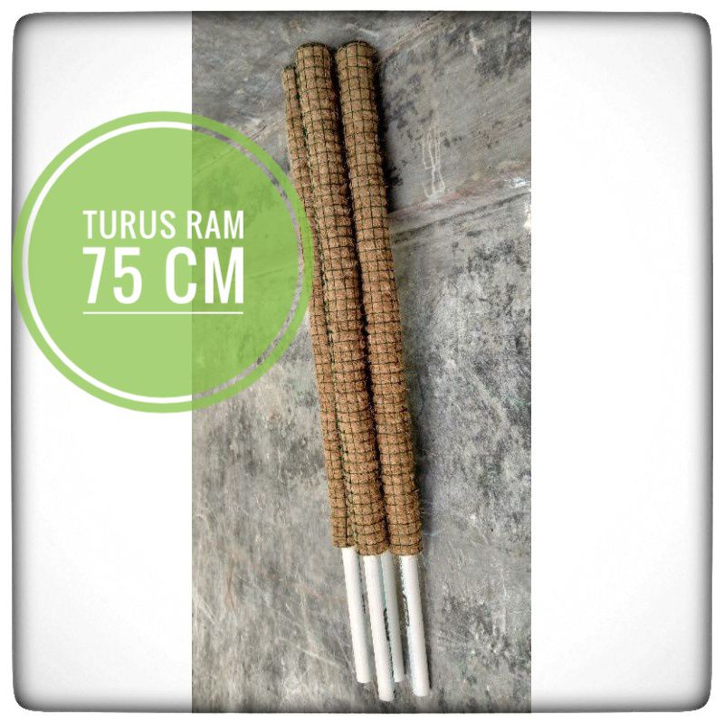 Taurus Tanaman Kawat Ram 75 cm - Turus Tanaman Rambat - Tanaman Rambat - Turus Penyangga Tanaman
