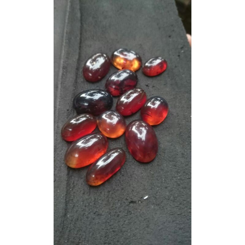 

katilayu bebas pilih