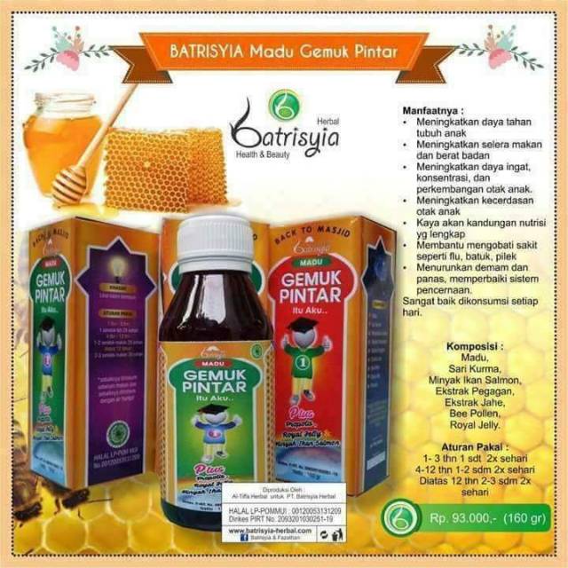 

Batrisyia Madu Gemuk Pintar (GEMPI)