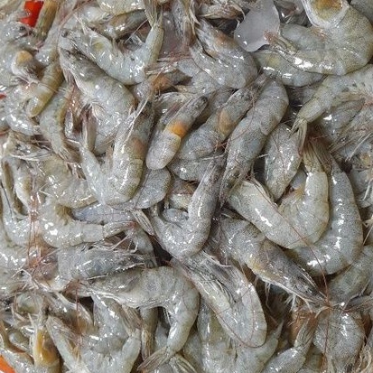 

Udang vaname segar 250 gram