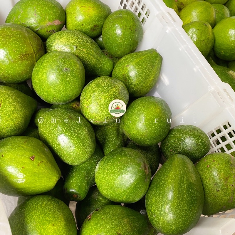 

Buah Alpukat Mentega 900gr