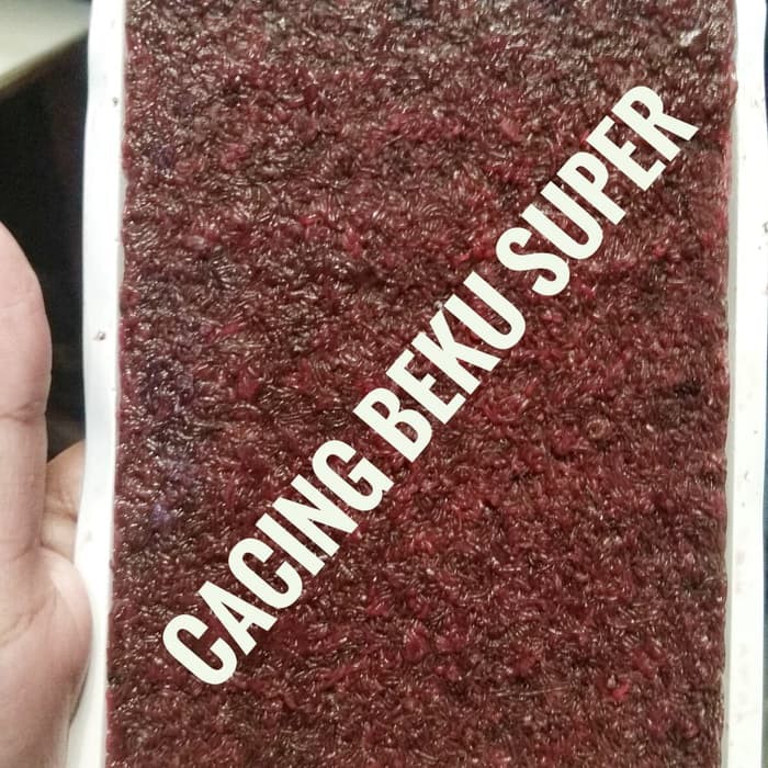 

Promo cacing beku SUPER khusus gosend expres Murah