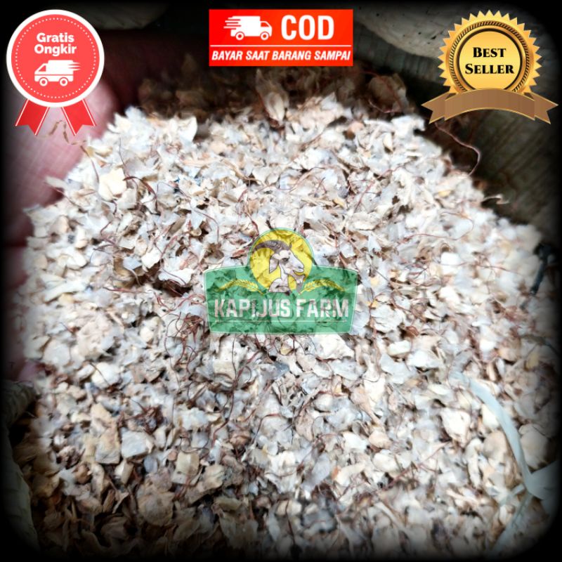 Tumpi Jagung / Slamper / Slemper untuk Pakan Ternak 1kg