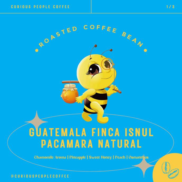 

BIJI KOPI MANUAL BREW - GUATEMALA FINCA ISNUL PACAMARA NATURAL - 1 KG FBFG63546