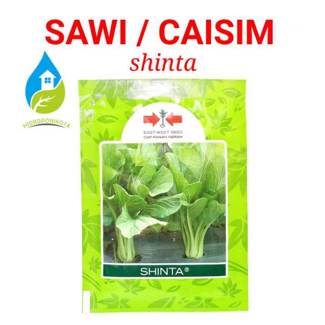 benih SAWI SHINTA 25 gram - benih caisim shinta - benih sawi panah merah - panah merah