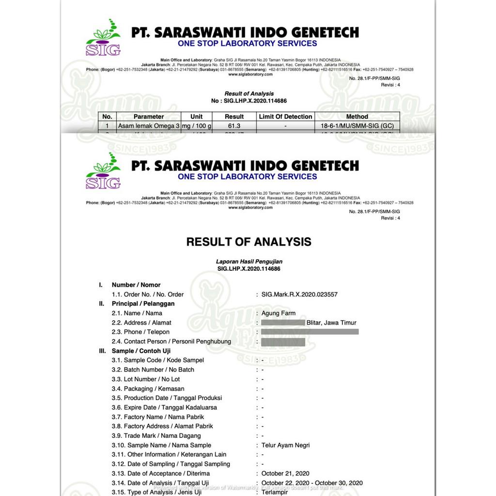

RB Telur Ayam Negri Negeri per 1 papan 30 butir Segar dari Kandang NKV