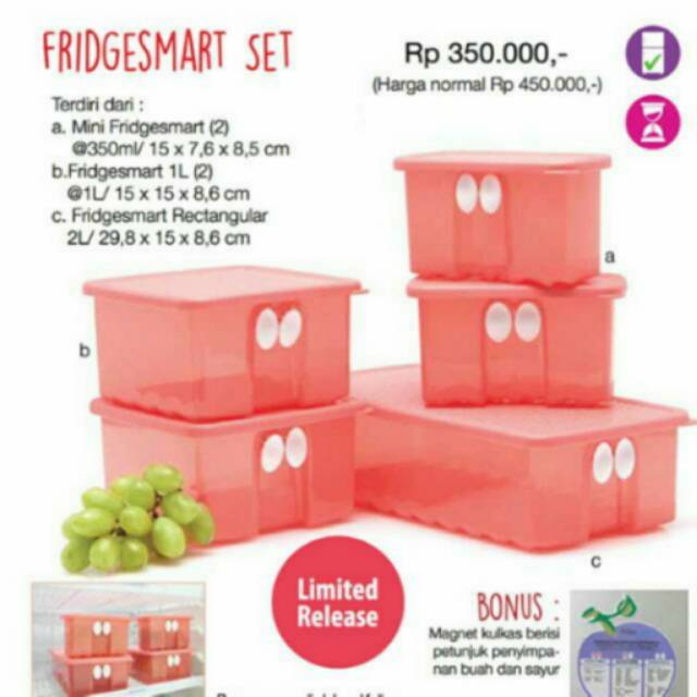 Fridgesmart Set Isi 2 pcs