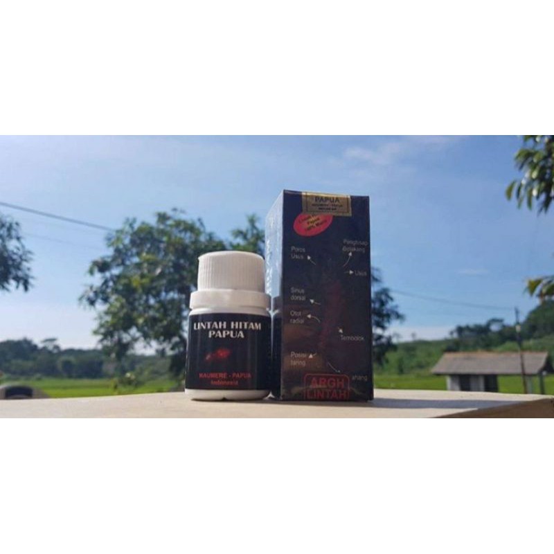 lintah papua hitam