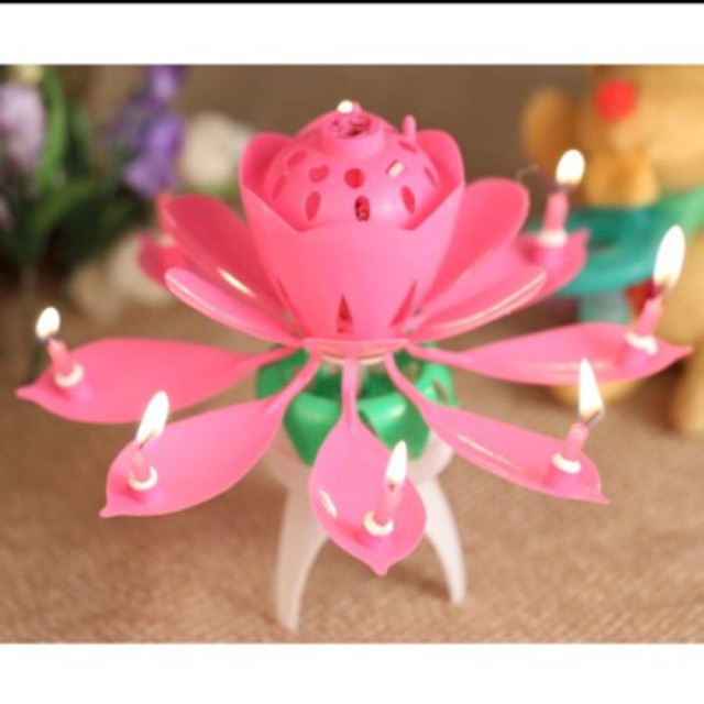 Gambar Bunga Dari Lilin Gambar Ngetrend dan VIRAL Gambar Bunga Dari Lilin Gambar Ngetrend dan VIRAL