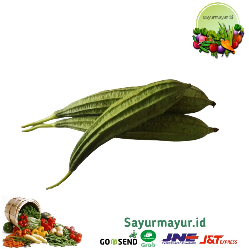 

OYONG SAYURAN PER 1/4 KG (250 GRAM)