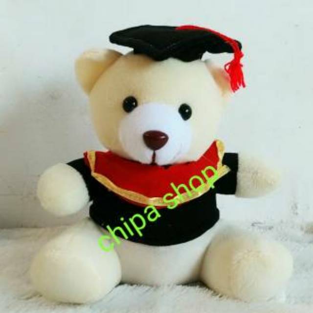 BEAR WISUDA 20 CM