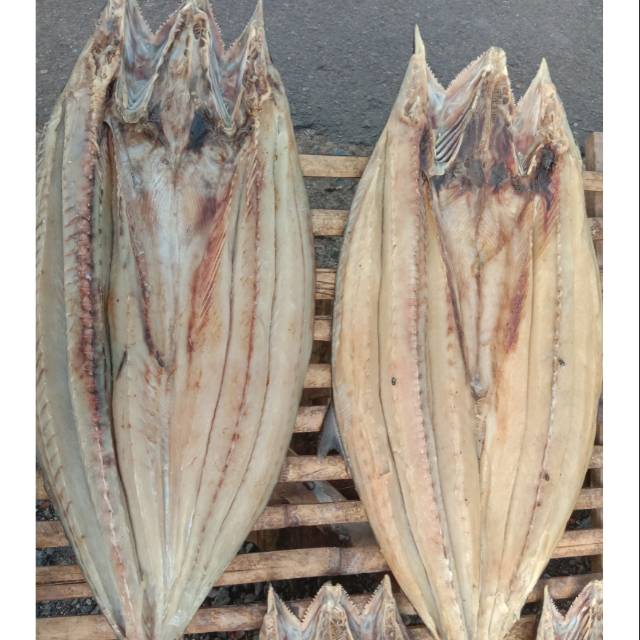 

Ikan Asin Tenggiri 1 Kg Per Ekor