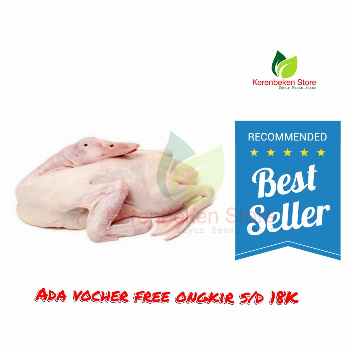 

bebek segar per ekor ±1400gr fresh no frozen - potong 12