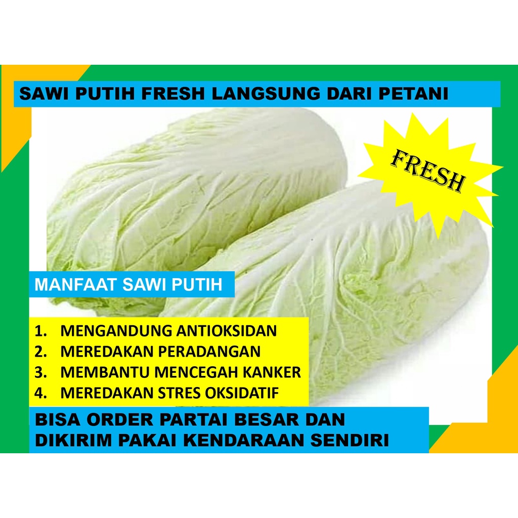 

Sawi Putih Fresh Box Langsung Dari Petani