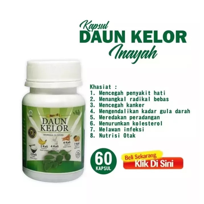 Keloreena Kapsul Daun Kelor Berkualitas Asli Original / Ekstrak Moringa Oleifera BPOM Halal / “DAUN KELOR INAYAH”