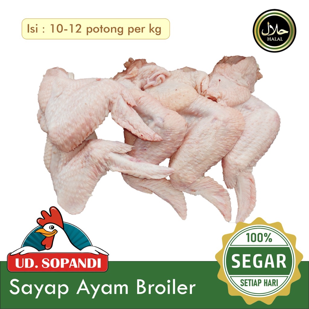 

Sayap Ayam Segar
